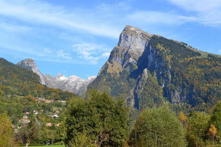 Samoens 1600 Studio Au Pied Des Pistes מראה חיצוני תמונה